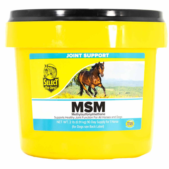MSM Joint Support Supplement for Horses and Dogs – Hip, Joint & Mobility Health with Bioavailable Sulfur - SELCP - 2 lb - 92 Day Supply - 3