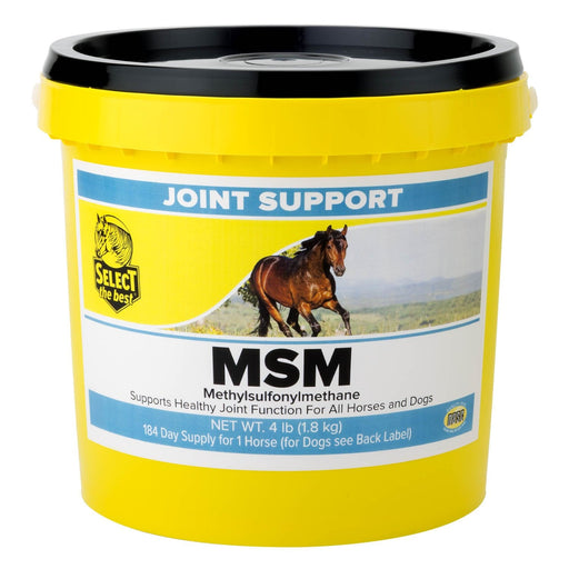 MSM Joint Support Supplement for Horses and Dogs – Hip, Joint & Mobility Health with Bioavailable Sulfur - Jeffers - Animal Health & Wellness > Joint Health