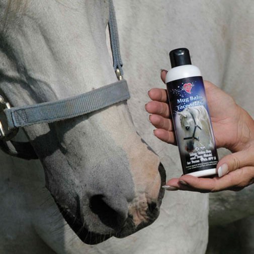 Mug Balm Face Shield SP15 Lotion for Horses, 8 oz - TTPM2 - 2
