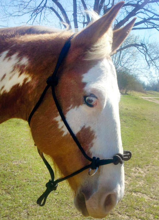 Mustang 4 - knot Side Pull Rope Halter - 121S4 - Single Pack - 6