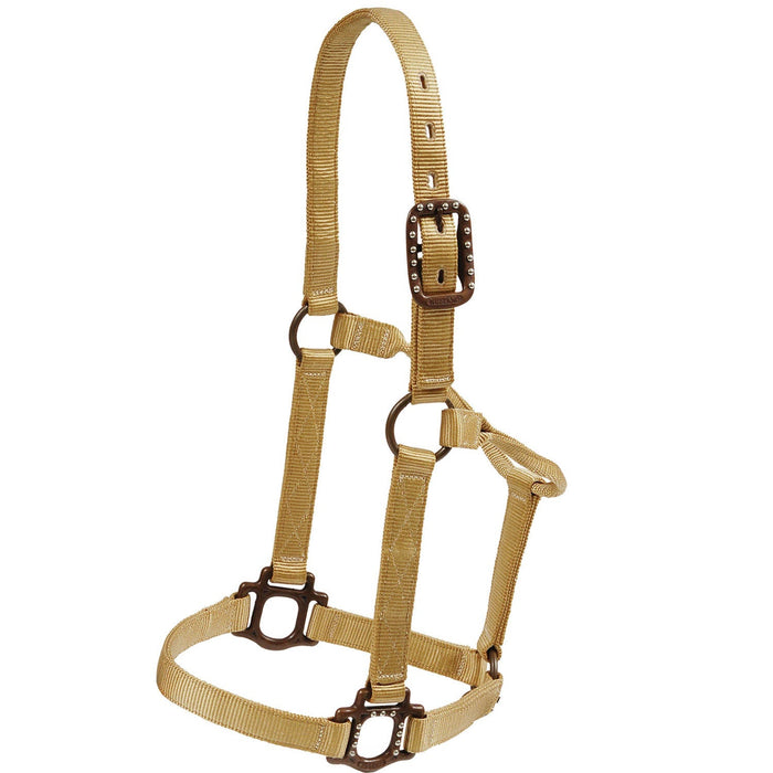 Mustang Nylon Halter with Antique Dot Hardware for Horses - 1212AF - Tan - Horse - 1 ct - 5