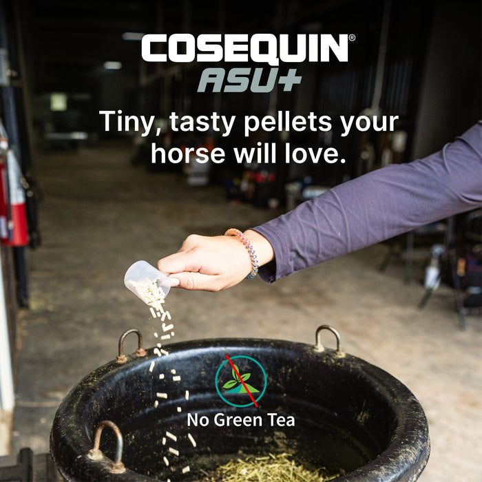 Nutramax Cosequin Equine ASU Plus Pellets, 1050 Grams - 060NM-3000264 - 1050g - 7