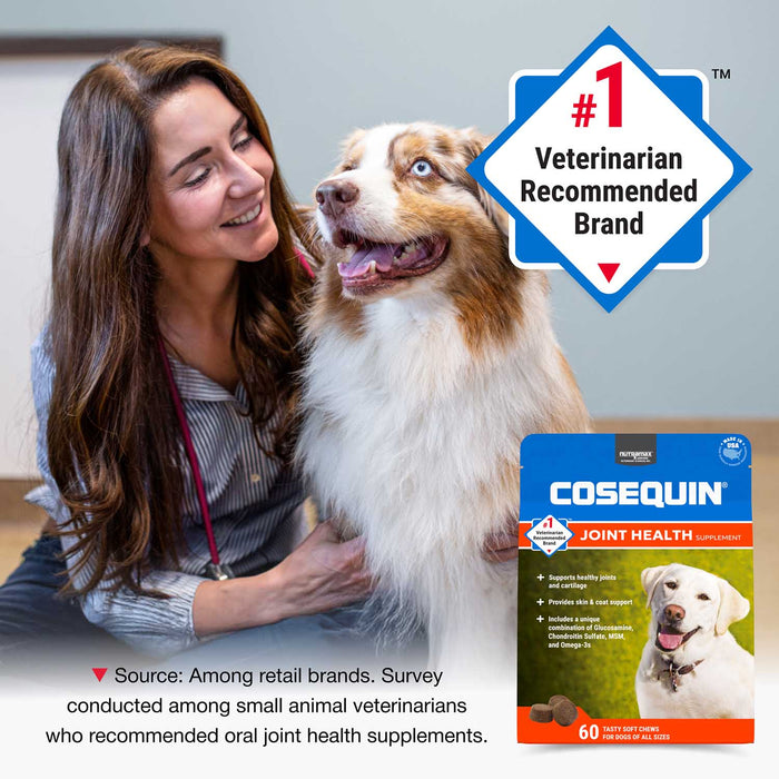 Nutramax Cosequin Joint Health Supplement for Dogs - With Glucosamine, Chondroitin, MSM, and Omega - 3's - 015NM-CQOMSC60-MSM - 60 count - 3