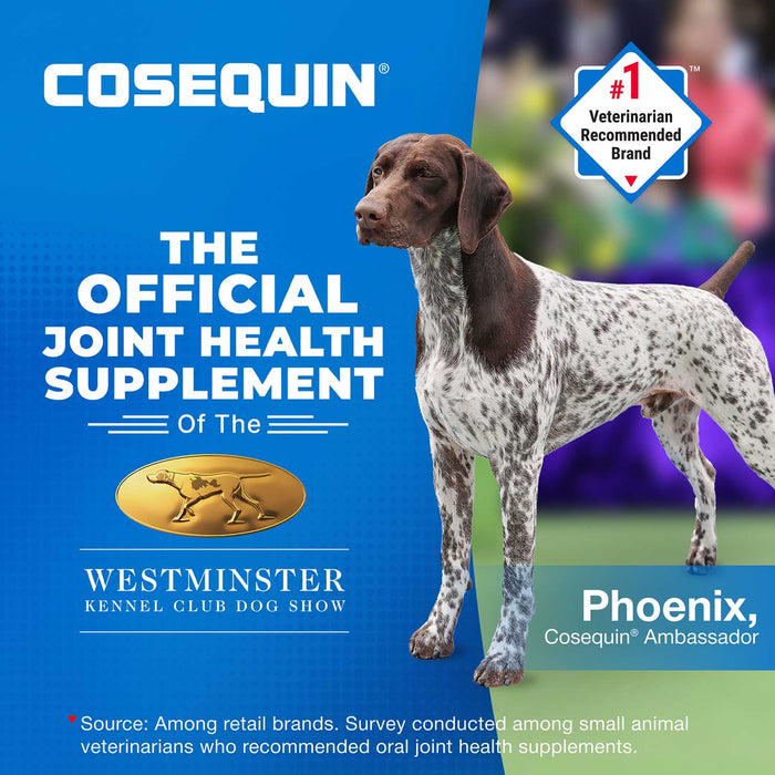 Nutramax Cosequin Maximum Strength Joint Health Plus MSM Supplement for Dogs, Chewable Tablets - 015NM-DS60 - 60 Chewable Tablets - Each - 6