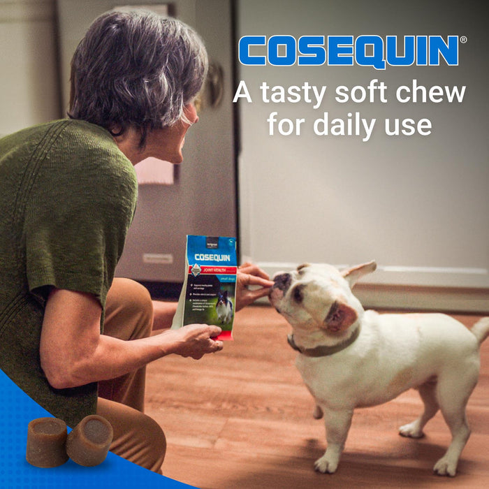 Nutramax Cosequin Minis - Maximum Strength with MSM Plus Omega - 3's - 015NM-CQOMSC45-MSMM - 45 ct - 4
