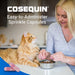 Nutramax Cosequin Professional for Cats, 60 Capsules - 015NM-CQCAT60P - Single Pack - 6
