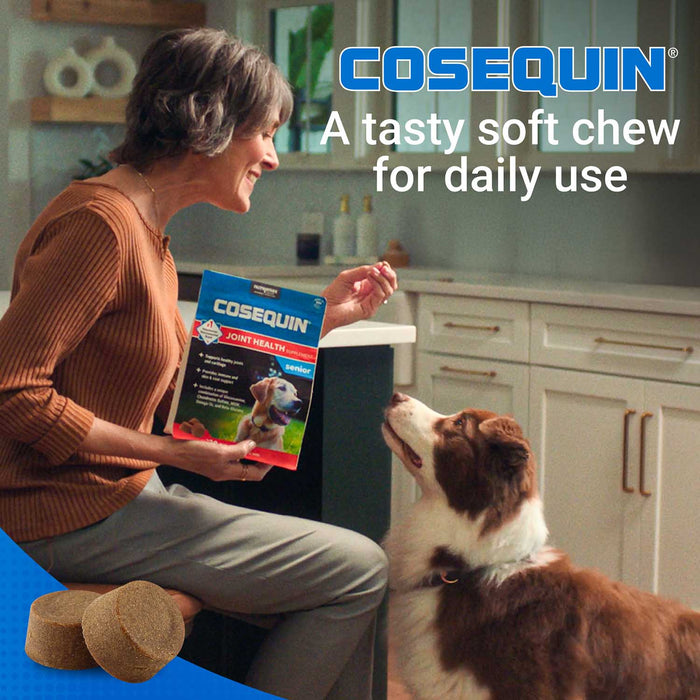 Nutramax Cosequin Senior Joint Health Supplement for Senior Dogs - 015NM-SEN60-MSMP - 60 ct - 4