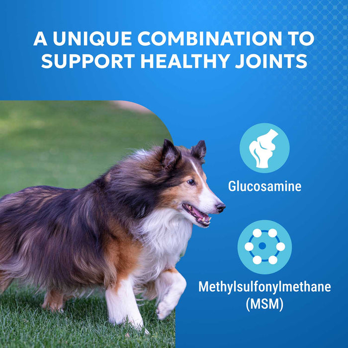 Nutramax Cosequin Standard Strength Joint Health Supplement for Dogs, With Glucosamine and MSM - 015NM-CQHJ75 - 4