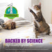 Nutramax Dasuquin Joint Health Supplement for Cats, Soft Chews - 015NM-3000034 - 84 Soft Chews - 7