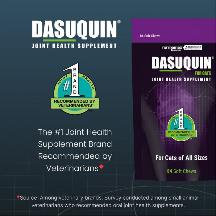 Nutramax Dasuquin Joint Health Supplement for Cats, Soft Chews - 015NM-3000034 - 84 Soft Chews - 4