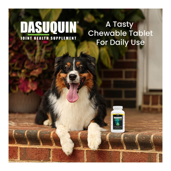Nutramax Dasuquin Joint Supplement for Dogs (with Glucosamine, Plus Chondroitin, ASU, MSM & More) - 015NM02-M150 - Small/Medium - Under 60 lbs - 150 ct - 14