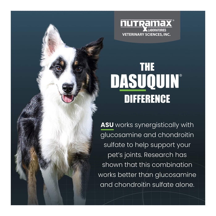 Nutramax Dasuquin Joint Supplement for Dogs (with Glucosamine, Plus Chondroitin, ASU, MSM & More) - 015NM02-M150 - Small/Medium - Under 60 lbs - 150 ct - 15