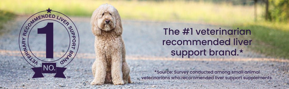 Nutramax Denamarin Liver Health, Stabilized Tablets - 015NM-D425 - 35lbs + - 1 pk (30 ct) - 37