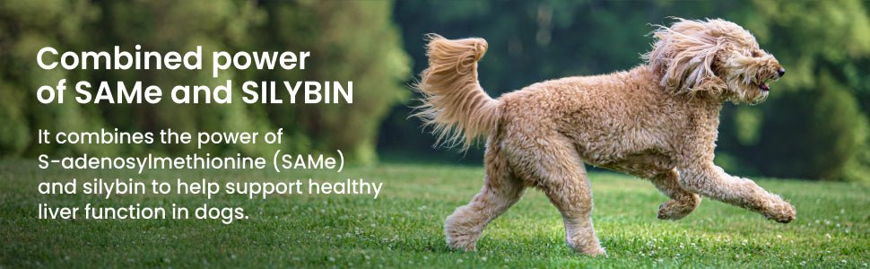 Nutramax Denamarin Liver Health, Stabilized Tablets - 015NM-D425 - 35lbs + - 1 pk (30 ct) - 34