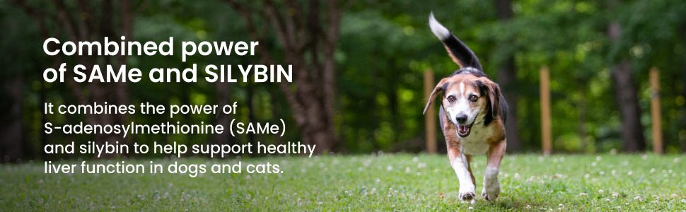 Nutramax Denamarin Liver Health, Stabilized Tablets - 015NM-D90 - Up to 12lbs - 1 pk (30 ct) - 9