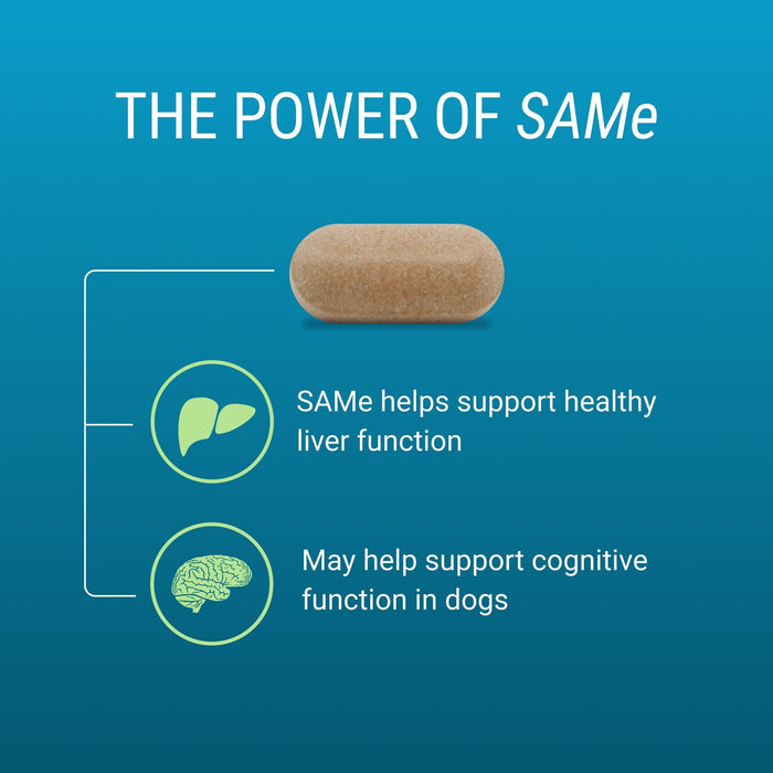 Nutramax Denosyl Liver and Brain Health Supplement - 015NM-SD4 - Dog - 225 mg - 30 ct - 12