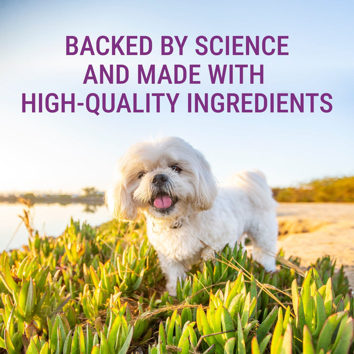 Nutramax Denosyl Liver and Brain Health Supplement - 015NM-SD4A - Cat/Dog - 90 mg - 30 ct - 3