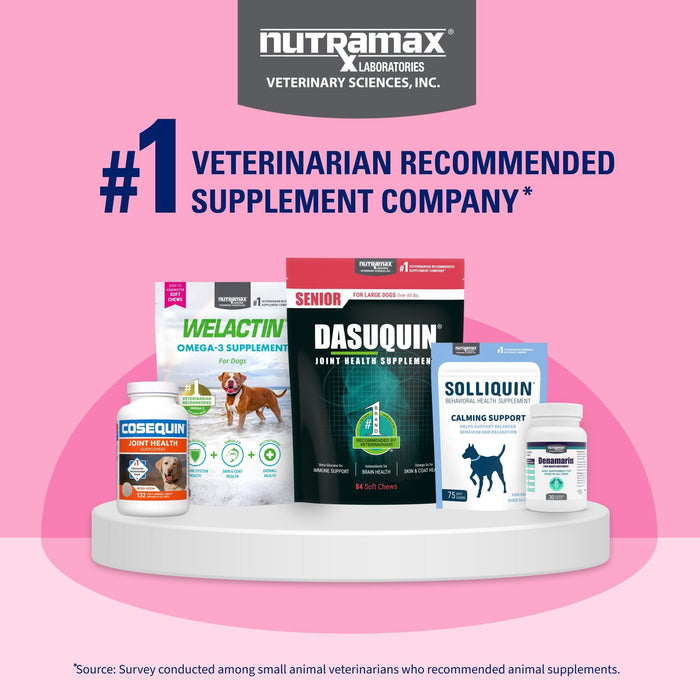 Nutramax Proviable - DC Capsules for Dogs & Cats - 015NM-30 - 30 ct - Single Pack - 10