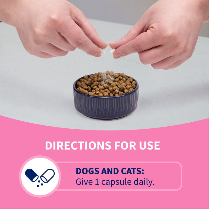 Nutramax Proviable - DC Capsules for Dogs & Cats - 015NM-30 - 30 ct - Single Pack - 5