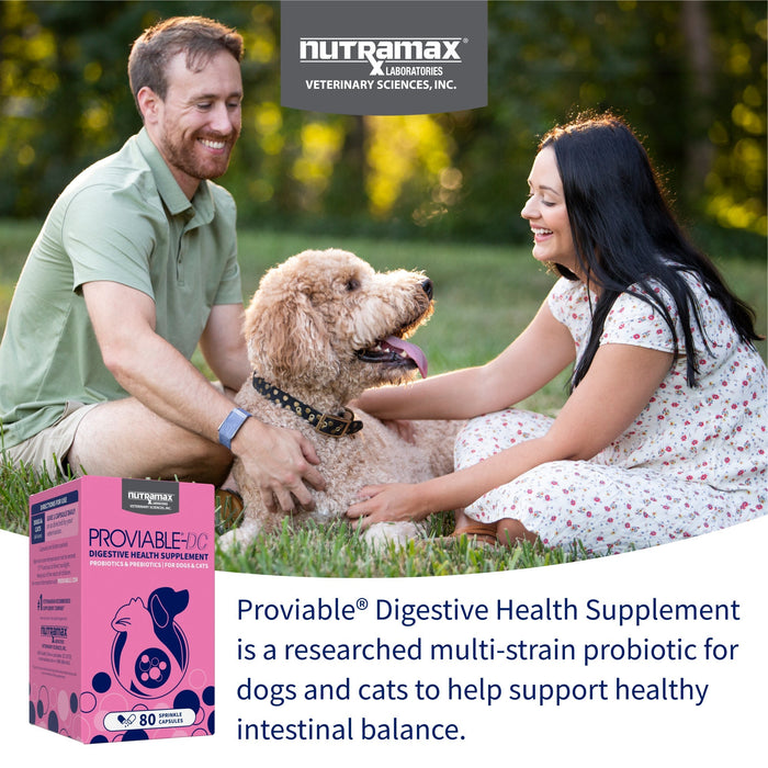 Nutramax Proviable - DC Capsules for Dogs & Cats - 015NM-80 - 80 ct - Single Pack - 14
