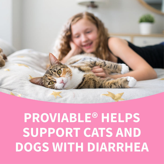 Nutramax Proviable - DC Capsules for Dogs & Cats - 015NM-80 - 80 ct - Single Pack - 19