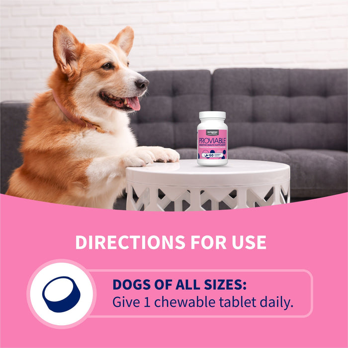 Nutramax Proviable - DC Chew Tablets for Dogs, 60 ct - 015NM-P60 - 5