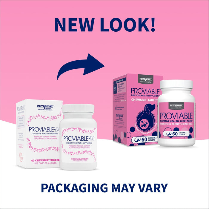 Nutramax Proviable - DC Chew Tablets for Dogs, 60 ct - 015NM-P60 - 7