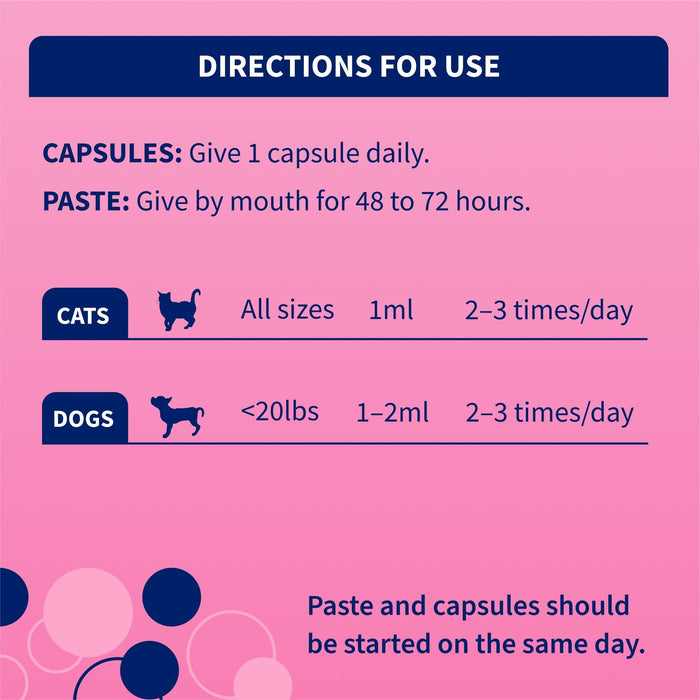 Nutramax Proviable - KP/DC Kit for Dogs and Cats, 10 Capsules - 015NM-15ML - Cats & Small Dogs - 15 mL Paste - 1 ct - 6