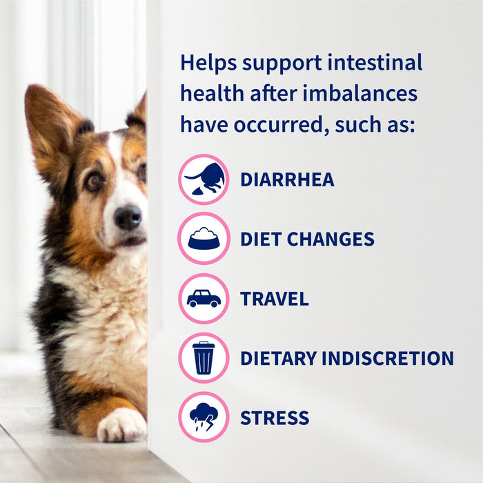 Nutramax Proviable - KP/DC Kit for Dogs and Cats, 10 Capsules - 015NM-30ML - Medium/Large Dogs - 30 mL Paste - 1 ct - 18