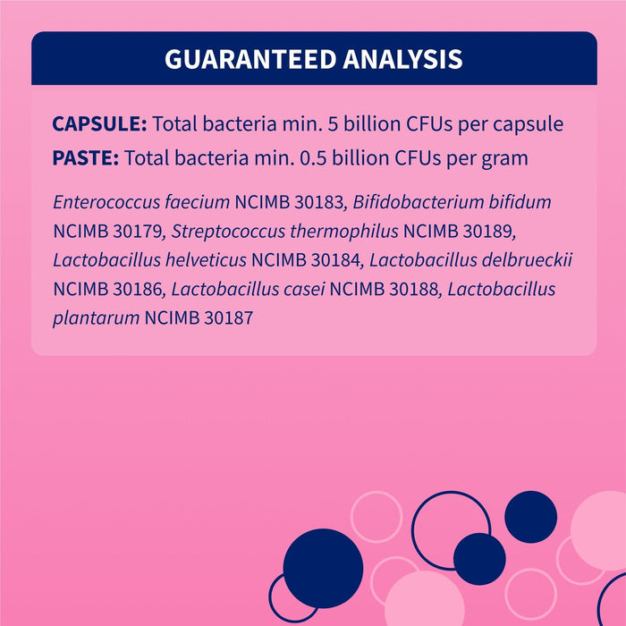 Nutramax Proviable - KP/DC Kit for Dogs and Cats, 10 Capsules - 015NM-30ML - Medium/Large Dogs - 30 mL Paste - 1 ct - 22