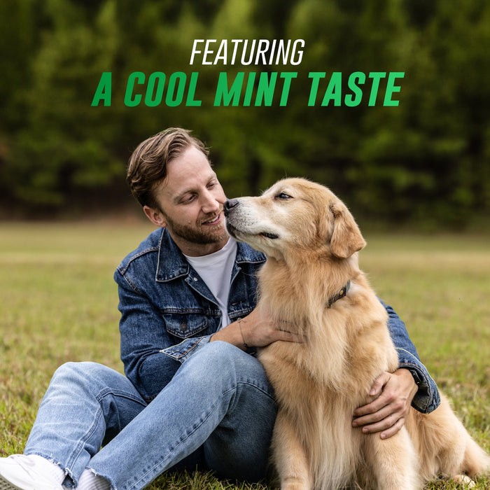 Nutramax Welactin Canine Softgels, 120 count - 015NM-120 - Single Pack - 4