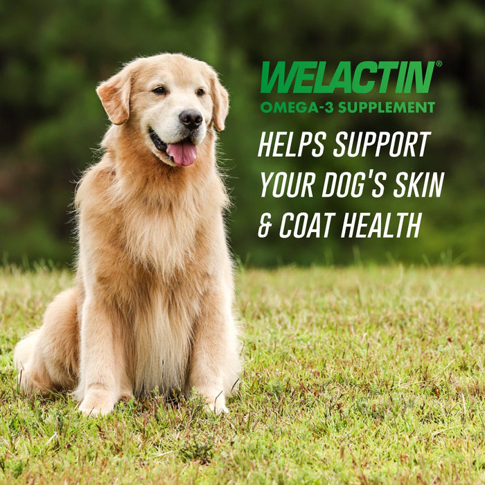 Nutramax Welactin Natural Omega - 3 Liquid Skin & Coat Supplement for Dogs - 015NM-500 - 16 oz - 2