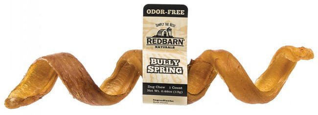 Odor-Free Bully Springs for Dogs, 6