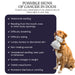 Oncotect Essential At - Home Dog Cancer Screening Test Kit - OTC1 - 1 Test Kit - 6