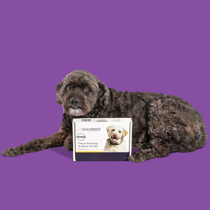 Oncotect Essential At - Home Dog Cancer Screening Test Kit - OTC1 - 1 Test Kit - 7
