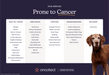 Oncotect Essential At - Home Dog Cancer Screening Test Kit - OTC1 - 1 Test Kit - 5