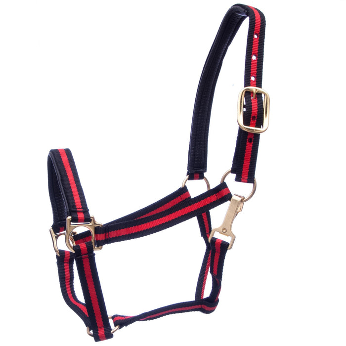 Jeffers Padded Nylon Horse Halter with Throat Snap - IA6D - Black/Red - 2