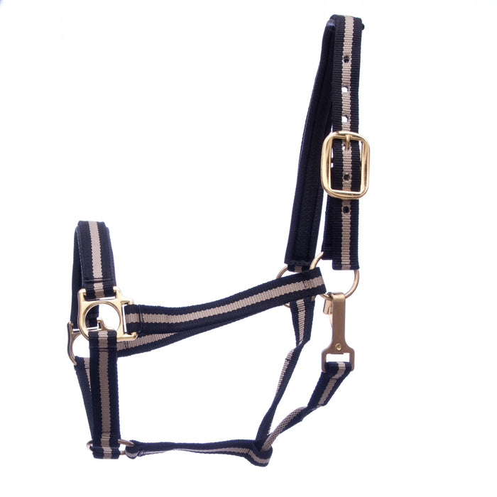 Jeffers Padded Nylon Horse Halter with Throat Snap - IA6F - Black/Tan - 5
