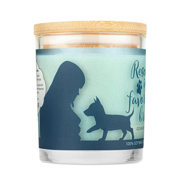 Pet House Candle, 9 oz – Pet Odor Eliminating, Non - Toxic, Long - Lasting, Hand - Poured in USA - PHCM - Ocean Breeze - 9 oz - 1 ct - 104
