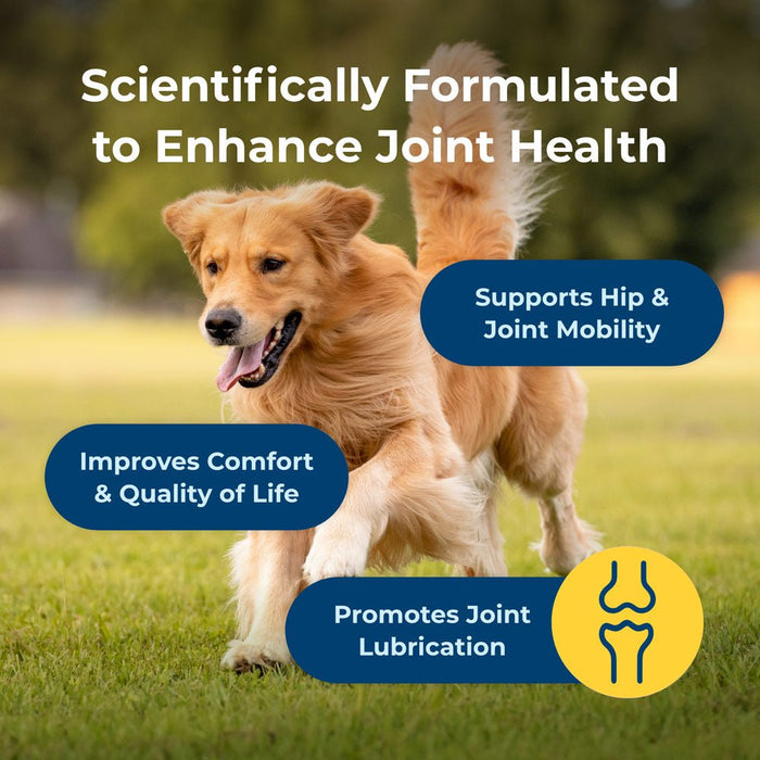 PetAg Dyne Joint Health & Mobility Soft Chews for Dogs – Chicken Liver Flavor, 45 Count - B7ZQ - Chicken Liver - 45 Soft Chews - 5
