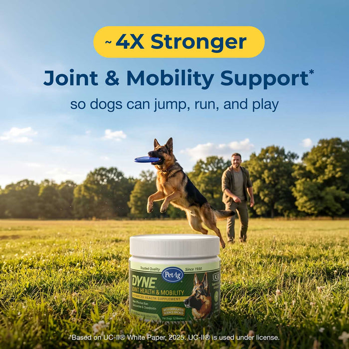 PetAg Dyne Joint Health & Mobility Soft Chews for Dogs – Chicken Liver Flavor, 45 Count - B7ZQ - Chicken Liver - 45 Soft Chews - 9