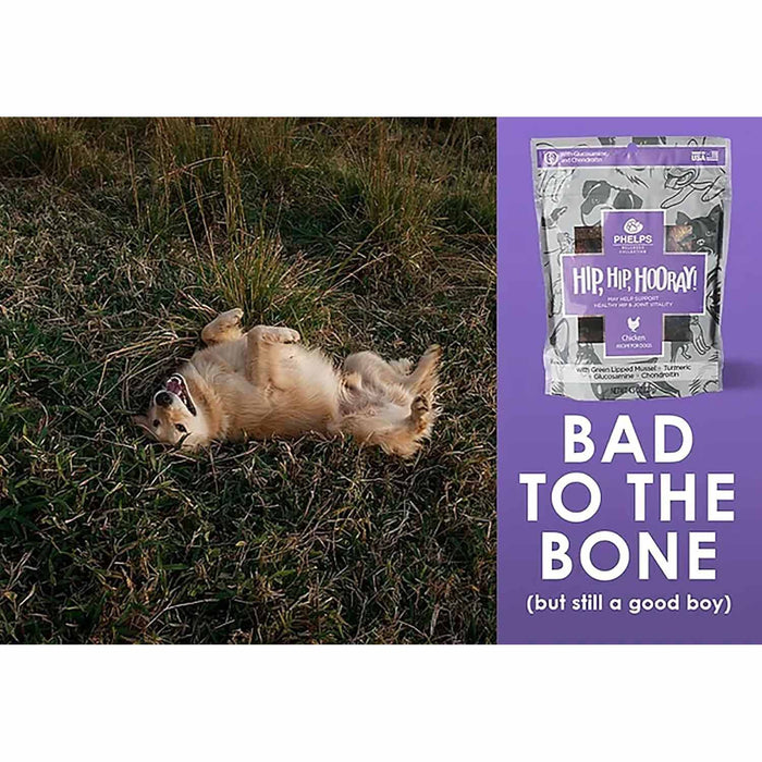 Phelps Wellness Keep Calm and Canine On! Flavor Chicken