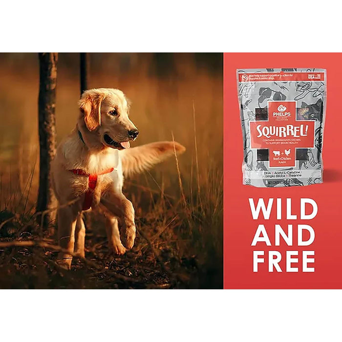 Phelps Wellness Keep Calm and Canine On! Flavor Beef