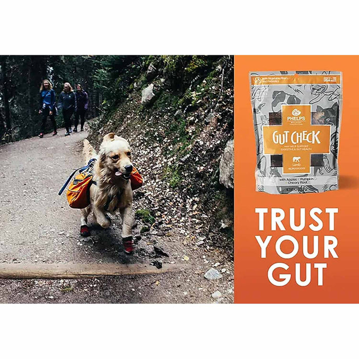 Phelps Wellness Functional Dog Chew Supplements – Calming, Digestive, Skin & Coat, Hip & Joint, Sensitive Stomach & Brain Support Treats, 4.5 oz - PH3AB - Gut Check - Digestive & Gut - Lamb - 4.5 oz - 8