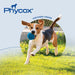 Phycox MAX Canine Joint Supplement Soft Chews, 90 ct - 015DP-PSCMAX - Beef Liver - 2