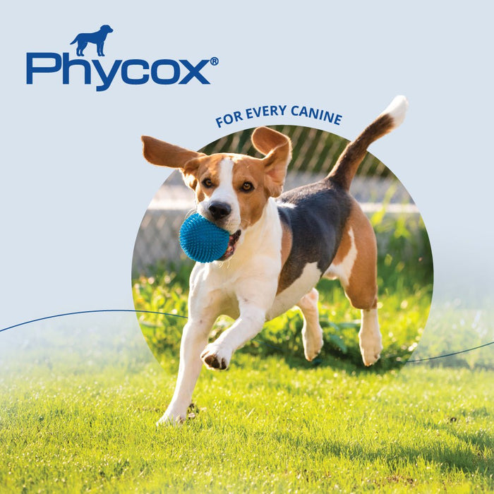 Phycox Max Canine Small Bites, 120 ct - 015PHA-8224 - 5