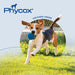 Phycox Max Canine Small Bites, 120 ct - 015PHA-8224 - 5