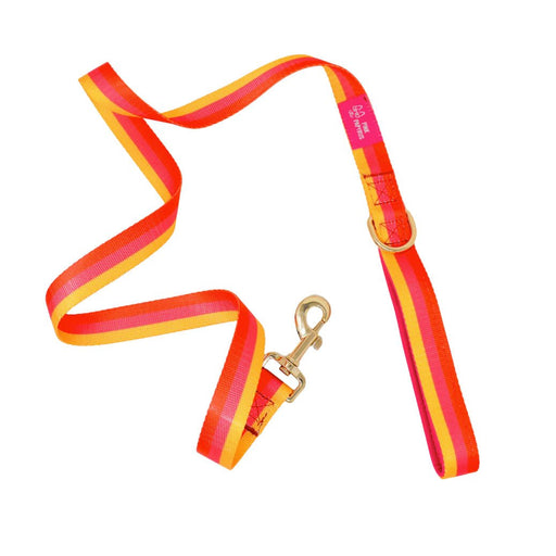 Pink Papyrus Avery Dog Leash, 6 ft - PA22W - Zara/Pk/Yel/Orange - 17