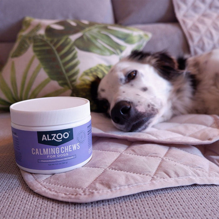 Plant - Based Calming Soft Chews for Dogs, 90 ct - 7VXQ - 7