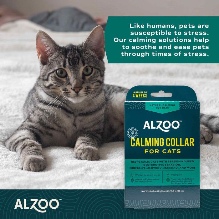 Plant - Based Natural Calming Collar for Cats - 7VWU - 5